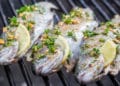 forelle gegrillt