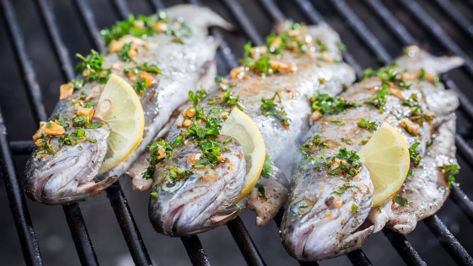 Forelle Wrzen Zum Grillen
