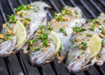 forelle gegrillt