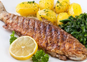 forelle muellerin art