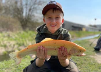 forellen angeln mit kindern