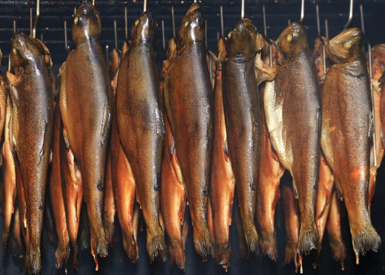 Forelle in Alufolie – Rezept | forellen-angeln.de 🐟