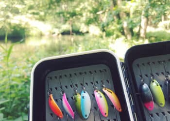 Spoonangeln für Anfänger