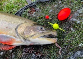 wasserkugelmontage pilotkugelmontage